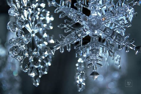 Sparkling Snowflakes 2 Photograph By Yvonne Wright Fine Art America