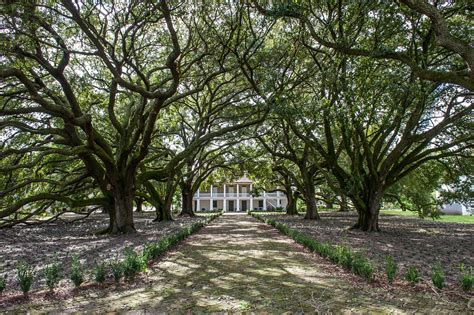 The Whitney Plantation A History Of Enslavement In Louisiana