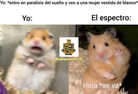 Top Memes De Hamsters En Español Memedroid