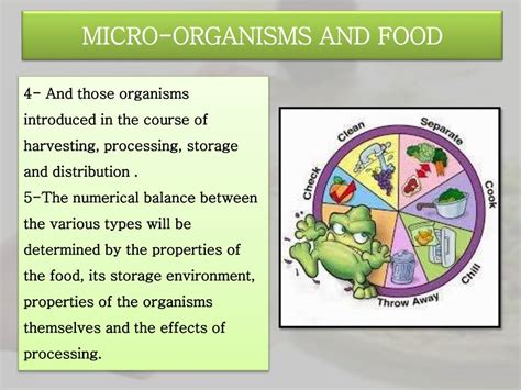 History Of Microorganisms In Food