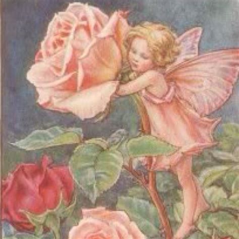 Rose Fairy Fairy Art Flower Fairies Fairy Pictures