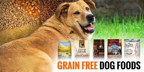 5 Best Grain Free Dog Foods — Reviews And Buying Guide
