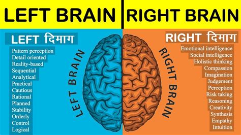 Left Brain Vs Right Brain Full Comparison In Hindi 2021 Left Brain Vs