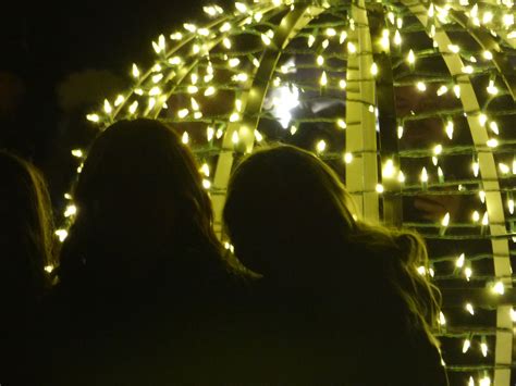 Manistee rings in the new year