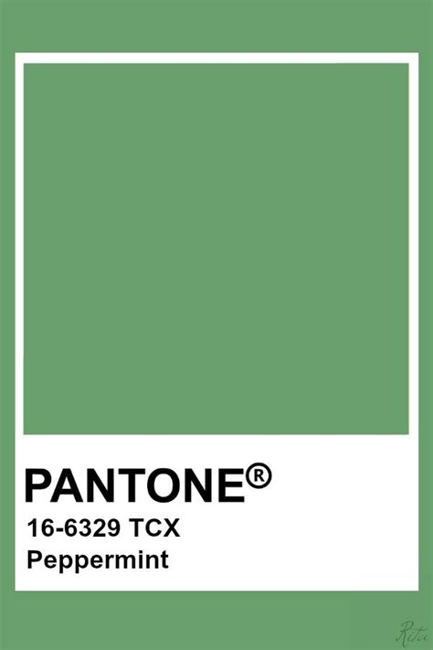 Pantone Peppermint Pantone Palette Pantone Swatches Pantone Colour
