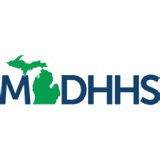 Michigan department of insurance and financial services (difs), formerly the office of financial and insurance regulation, is a principal department in the michigan executive branch with responsibility for insurance and financial institutions. SOM - Executive Branch