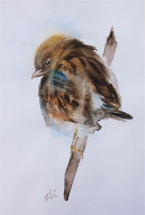 Original Watercolour Painting Sparrow Bird Art Watercolor Birds