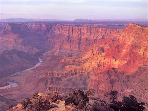 Life Around Us Grand Canyon The National Park Arizona