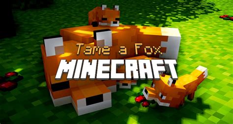 🦊 How To Tame A Fox In Minecraft Minecraft Tutos