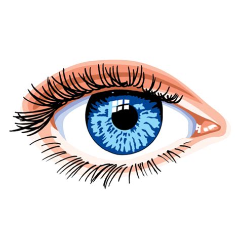 Blue Female Eyes With Eyebrows PNG Clip Art Best WEB Clipart Clip