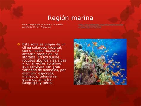 Región Marina Regiones Biogegrafica Mx