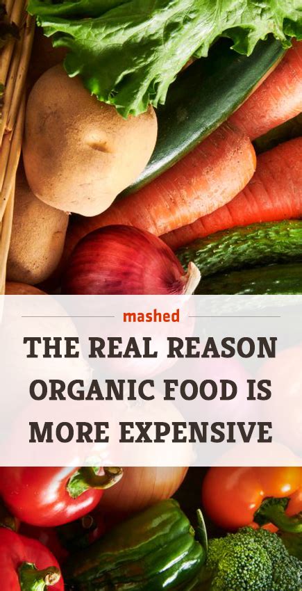 Why is organic food more expensive? The real reason organic food is more expensive | Organic ...