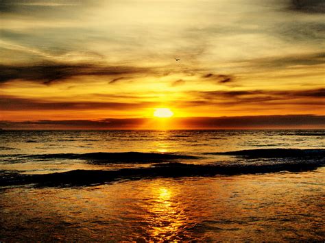 A Warm Sunrise Explored View On Black Jeffery Flickr