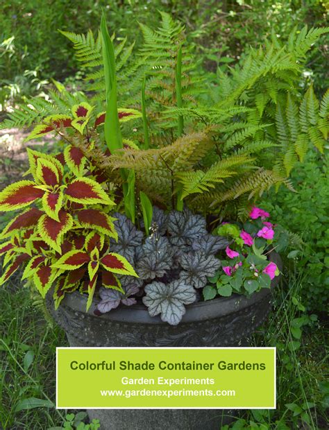 Colorful Shade Container Garden Part I