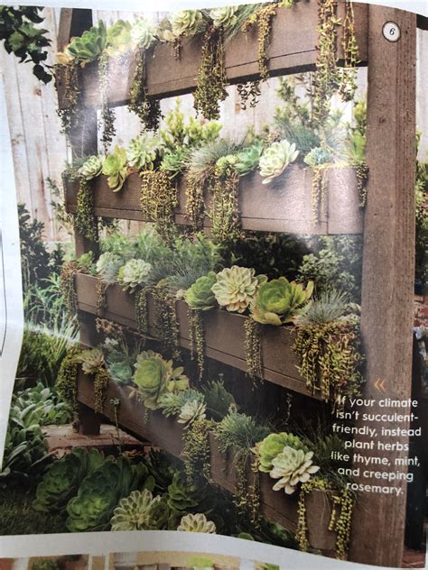 Vertical Succulent Wall To Create Shade In A Yard Succulent Wall