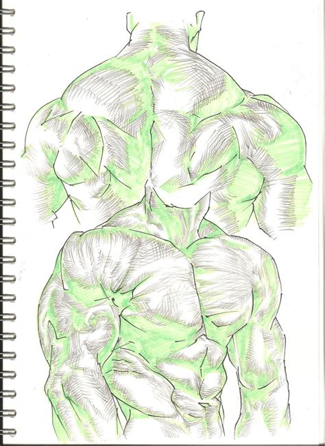 Anime Back Muscles Reference Comic Art Reference Human Arm Muscles