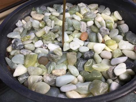 EXOTIC PEBBLES Polished Jade Reptile Terrarium Gravel Jade 20 Lb