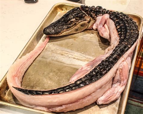Cannundrums Whole Alligator Grilled And Sous Vide