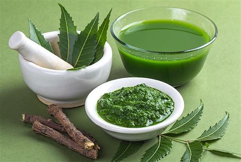 The entire neem tree is useful, and its leaves, seeds, and bark and can be used both externally and internally. 10 Beauty Benefits of Neem for Skin and Hair | Top 10 Home ...
