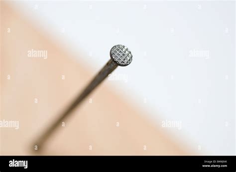 Detail Of A Nail Driven In Stock Photo Alamy