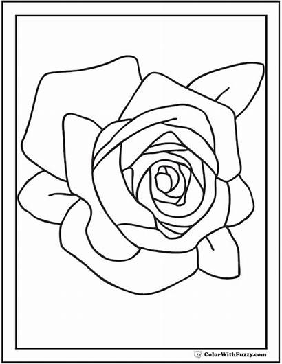 Rose Coloring Pages Printable Pdf Printables Colorwithfuzzy