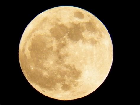 Full Moon Free Stock Photo Public Domain Pictures