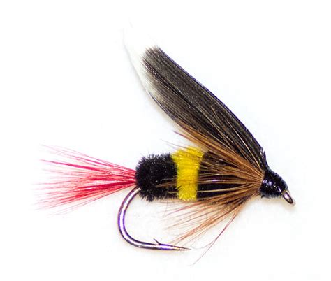 Mcginty Bee Traditional Wet Fly From The Guys At Fish Fishing Flies