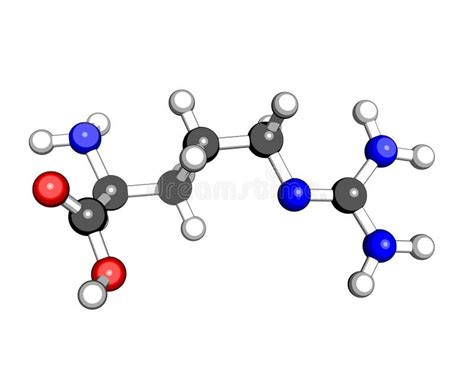Amino Acid Arginine Molecular Structure Stock Illustration