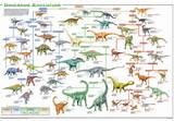 Photos of Dinosaur Fossil Names