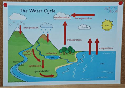 Guest Post Learning About The Water Cycle