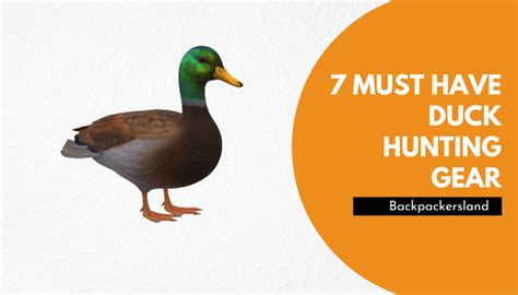 7 must have duck hunting gear for beginners [secret]