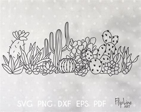Cactus And Succulent Svg And Png Clipart Floral Border Boho By 4eka