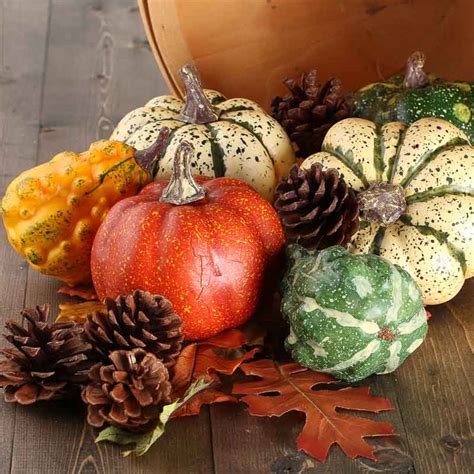 Assorted Artificial Autumn Gourds Pumpkins Decor Set