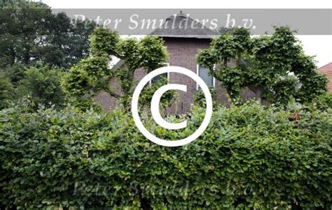 We did not find results for: Fotoarchief Peter Smulders BV