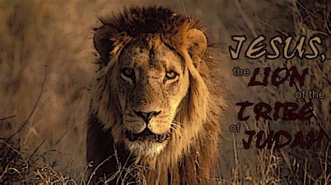 The Lion Of Judah Youtube