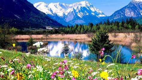 Free Download Spring In The Mountains Spring Wallpaper 31493838