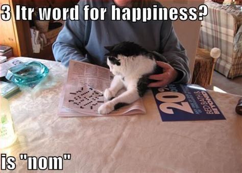 Crosswords Happy Words Funny Cat Memes Silly Cats