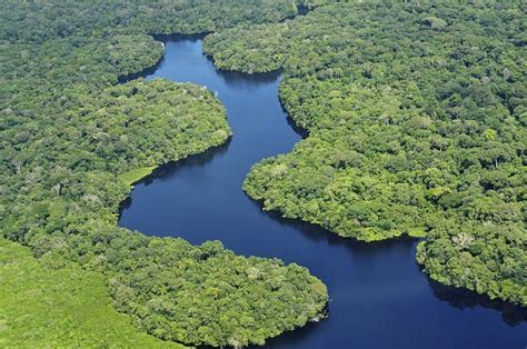 top 10 fun facts about the amazon river discover walks blog