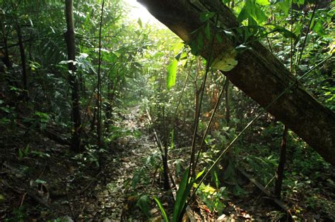 Jun 23, 2021 · says the country which imports nearly half of the younger workforce. (Abandoned) Railway Track (Part 2) Photography Walkabout ...