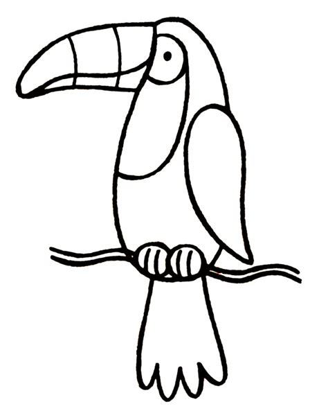 What kind of bird is a toucan? Cartoon Toucan Pictures - Cliparts.co