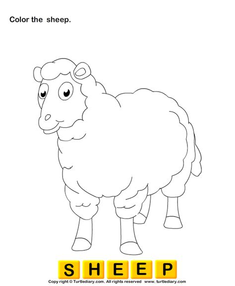 Color Sheep Turtle Diary Worksheet