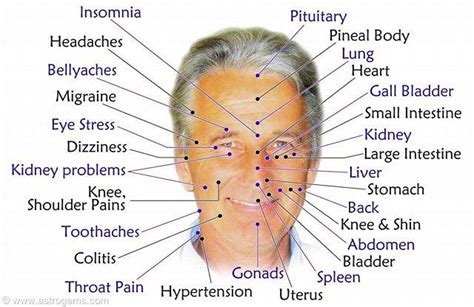 Facial Pressure Points Acupressure Treatment Acupressure Acupressure Chart
