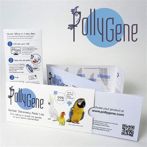 Bird Sexing Dna Slim Sample Card Gender Reveal Test For Parrots Macaws Lovebirds Cockatoos