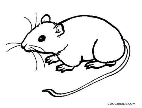 Cute Mouse Drawing Free Download On Clipartmag