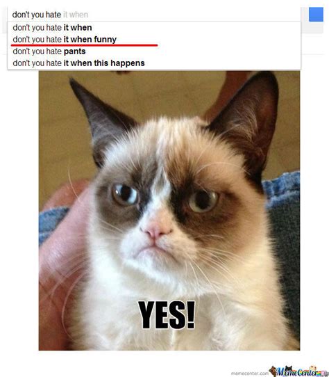 Grumpy Cat Hates Funny By Crowfeather Meme Center