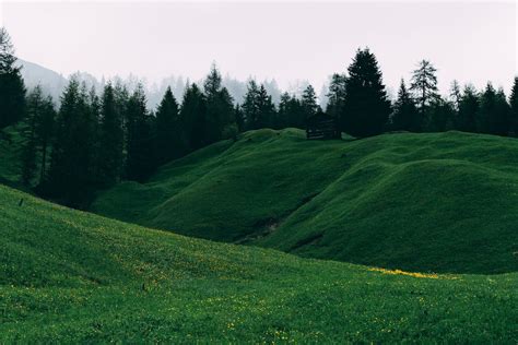 10000 Best Hill Photos · 100 Free Download · Pexels Stock Photos