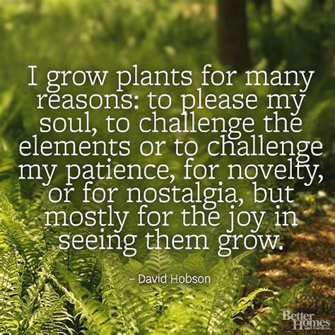 12 Life Inspiring Garden Quotes To Share Your Love For Gardening
