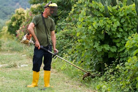 Lawn care and landscaping business owners discuss renting and or leasing of equipment such as trenchers, skid steers, dump trucks and more. Get Your Rental Property Ready for Winter: Fall ...