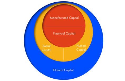 The Five Capitals Model Provides A Basis For Understanding