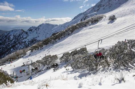 Mountainwatch Guide To Mt Buller Melbournes Mountain Is Something